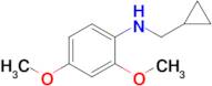 n-(Cyclopropylmethyl)-2,4-dimethoxyaniline