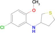 n-(5-Chloro-2-methoxyphenyl)tetrahydrothiophen-3-amine