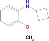 n-Cyclobutyl-2-methoxyaniline