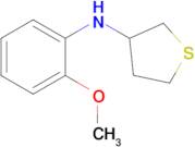 n-(2-Methoxyphenyl)tetrahydrothiophen-3-amine