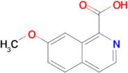 7-Methoxyisoquinoline-1-carboxylic acid