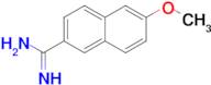 6-Methoxy-2-naphthimidamide