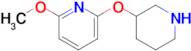 2-Methoxy-6-(piperidin-3-yloxy)pyridine