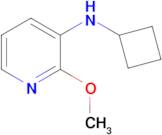 N-Cyclobutyl-2-methoxypyridin-3-amine