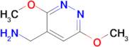 (3,6-Dimethoxypyridazin-4-yl)methanamine