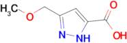 3-(methoxymethyl)-1H-pyrazole-5-carboxylic acid