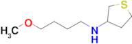 n-(4-Methoxybutyl)tetrahydrothiophen-3-amine