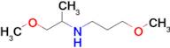 3-Methoxy-N-(1-methoxypropan-2-yl)propan-1-amine