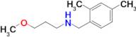 n-(2,4-Dimethylbenzyl)-3-methoxypropan-1-amine