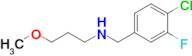 n-(4-Chloro-3-fluorobenzyl)-3-methoxypropan-1-amine