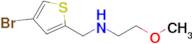 n-((4-Bromothiophen-2-yl)methyl)-2-methoxyethan-1-amine