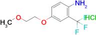 4-(2-Methoxyethoxy)-2-(trifluoromethyl)aniline hydrochloride