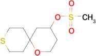 1-Oxa-9-thiaspiro[5.5]undecan-4-yl methanesulfonate