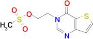 2-(4-Oxothieno[3,2-d]pyrimidin-3(4h)-yl)ethyl methanesulfonate