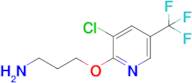 3-((3-Chloro-5-(trifluoromethyl)pyridin-2-yl)oxy)propan-1-amine