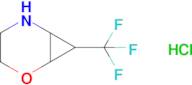 7-(Trifluoromethyl)-2-oxa-5-azabicyclo[4.1.0]heptane hydrochloride