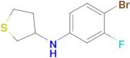 n-(4-Bromo-3-fluorophenyl)tetrahydrothiophen-3-amine