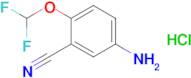 5-Amino-2-(difluoromethoxy)benzonitrile hydrochloride