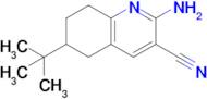 2-Amino-6-(tert-butyl)-5,6,7,8-tetrahydroquinoline-3-carbonitrile
