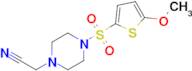 2-(4-((5-Methoxythiophen-2-yl)sulfonyl)piperazin-1-yl)acetonitrile