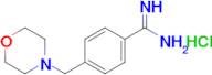 4-(Morpholinomethyl)benzimidamide hydrochloride