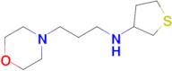 n-(3-Morpholinopropyl)tetrahydrothiophen-3-amine