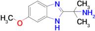 2-(6-methoxy-1H-1,3-benzodiazol-2-yl)propan-2-amine