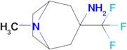 8-Methyl-3-(trifluoromethyl)-8-azabicyclo[3.2.1]octan-3-amine