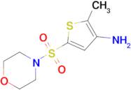 2-Methyl-5-(morpholinosulfonyl)thiophen-3-amine