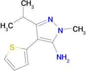 3-Isopropyl-1-methyl-4-(thiophen-2-yl)-1h-pyrazol-5-amine