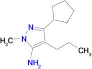 3-Cyclopentyl-1-methyl-4-propyl-1h-pyrazol-5-amine