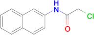 2-Chloro-N-(naphthalen-2-yl)acetamide