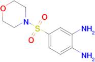 4-(Morpholine-4-sulfonyl)benzene-1,2-diamine