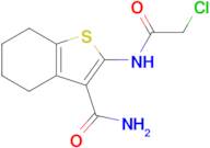 2-(2-Chloroacetamido)-4,5,6,7-tetrahydro-1-benzothiophene-3-carboxamide