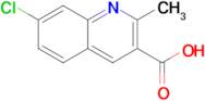 7-Chloro-2-methylquinoline-3-carboxylic acid