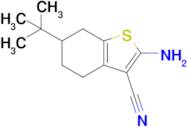 2-Amino-6-tert-butyl-4,5,6,7-tetrahydro-1-benzothiophene-3-carbonitrile