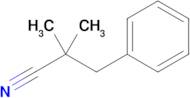 2,2-Dimethyl-3-phenylpropanenitrile