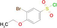 3-Bromo-4-ethoxybenzene-1-sulfonyl chloride