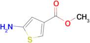 Methyl 5-aminothiophene-3-carboxylate