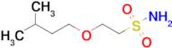 2-(3-Methylbutoxy)ethane-1-sulfonamide