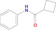 N-Phenylcyclobutanecarboxamide