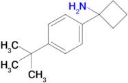 1-(4-Tert-butylphenyl)cyclobutan-1-amine