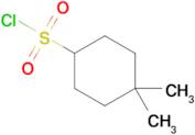 4,4-Dimethylcyclohexane-1-sulfonyl chloride