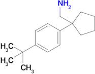 [1-(4-tert-butylphenyl)cyclopentyl]methanamine