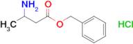3-Aminobutanoic acid benzyl ester hydrochloride