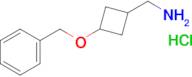 1-[3-(benzyloxy)cyclobutyl]methanamine hydrochloride