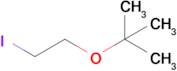 2-(2-Iodoethoxy)-2-methylpropane