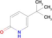 5-tert-butyl-1,2-dihydropyridin-2-one