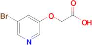 2-[(5-bromopyridin-3-yl)oxy]acetic acid