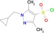 1-(Cyclopropylmethyl)-3,5-dimethyl-1H-pyrazole-4-sulfonyl chloride